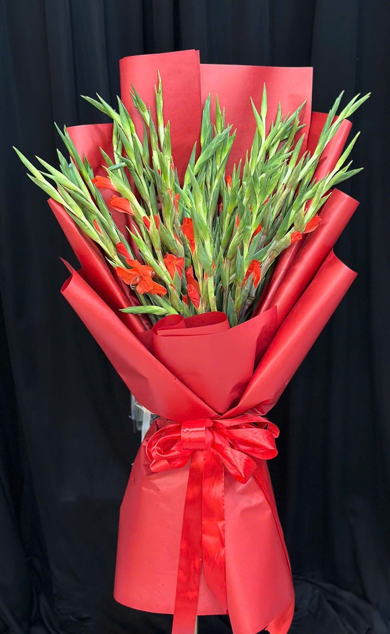  Bó Hoa Hồng Hỏa Kiên Cường - HBD16 