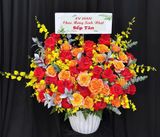  Hoa Cắm Hộp Bừng Sáng Khởi Đầu- HCH51 