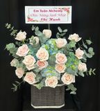  Hoa Cắm Hộp Thanh Sắc An Nhiên - HCH53 