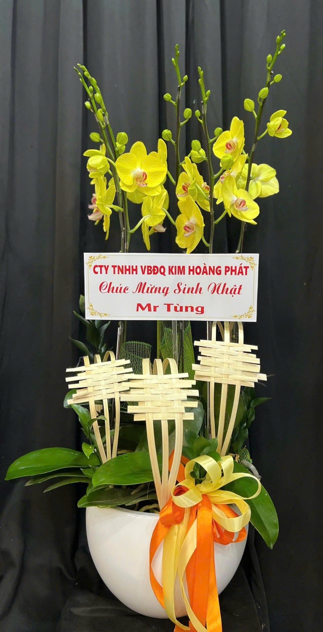  Chậu Lan Hồ Điệp Kim Phát Hưng Vượng - LHD13 