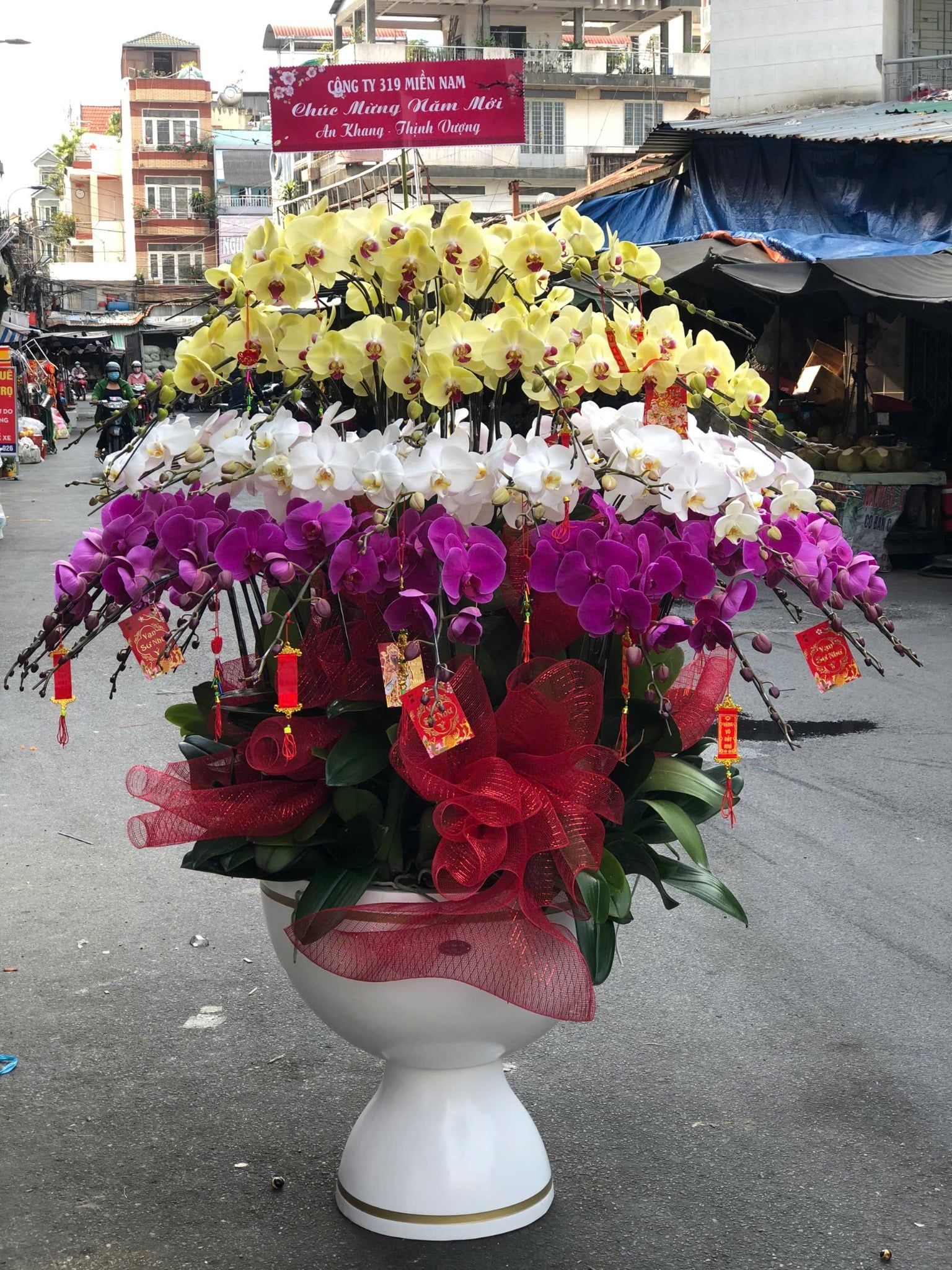  Chậu Lan Hồ Điệp Tam Sắc Phúc Lộc Viên Mãn- LHD50 