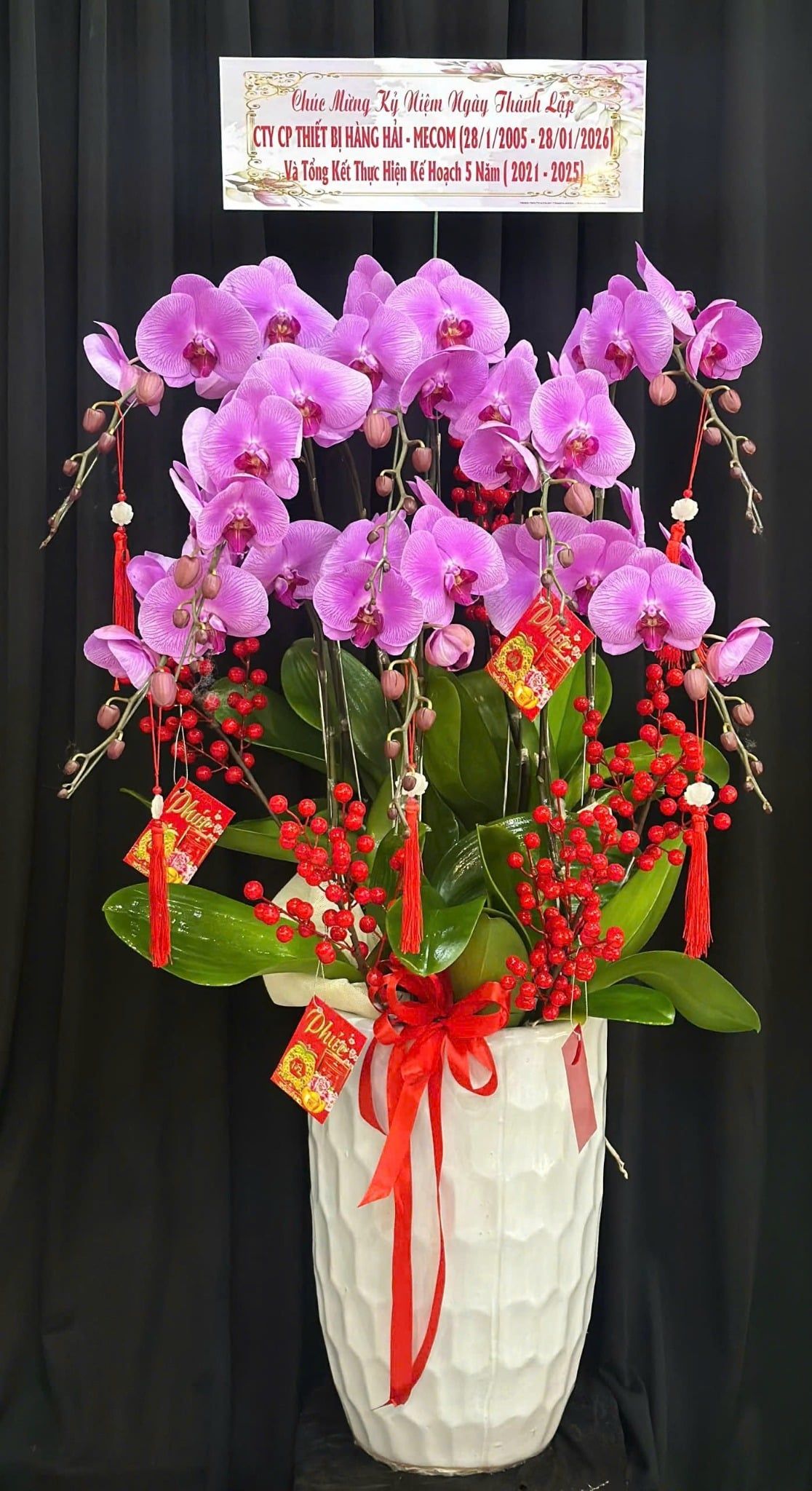  Chậu Lan Hồ Điệp Cát Tường Như Ý - LHD60 