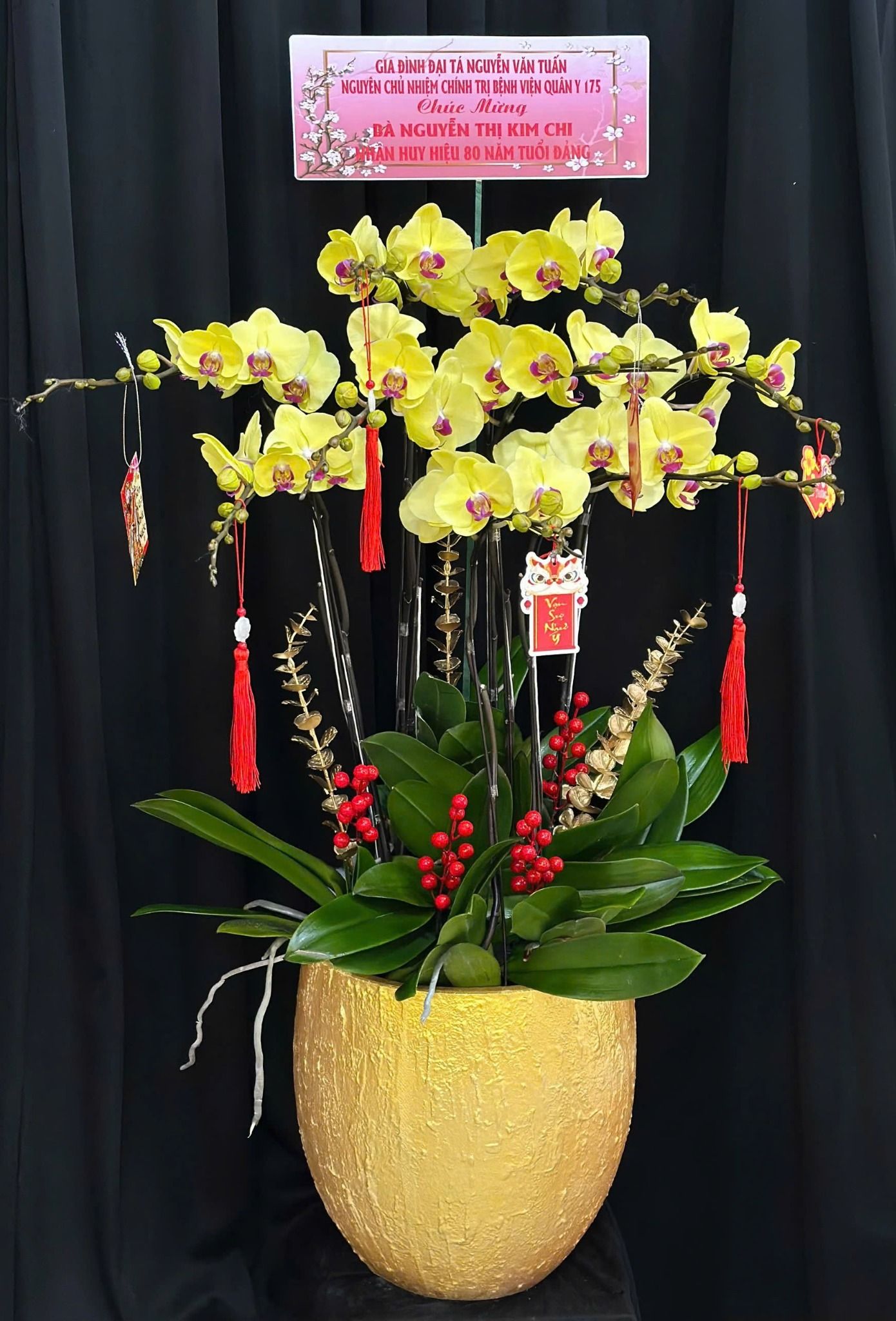  Chậu Lan Hồ Điệp Kim Phúc Vượng Tài - LHD55 