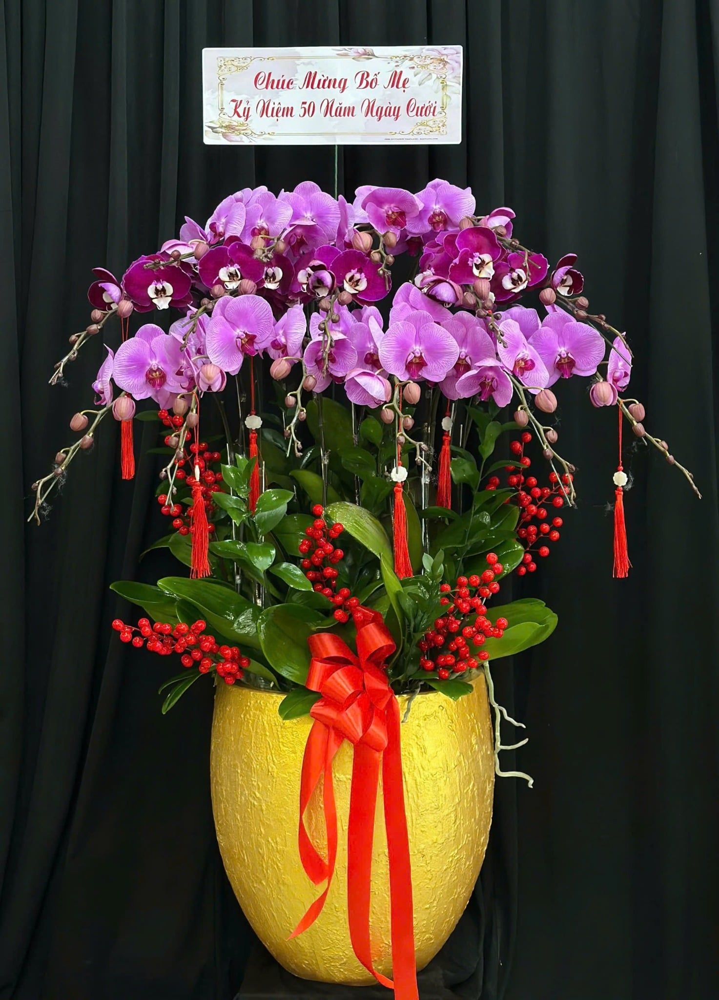  Chậu Lan Hồ Điệp Phát Lộc Trường Xuân - LHD61 