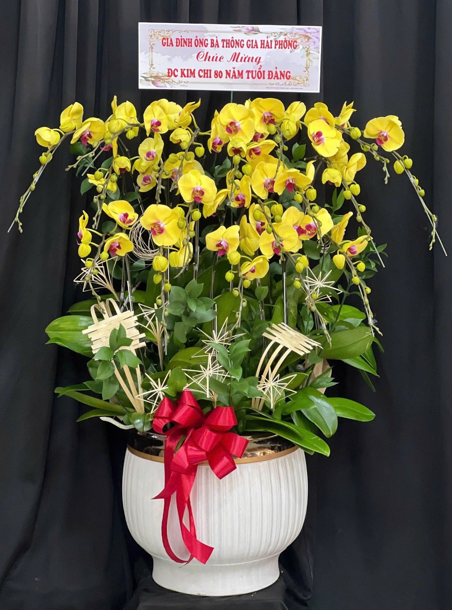  Chậu Lan Hồ Điệp Hoàng Kim Vượng Lộc - LHD68 
