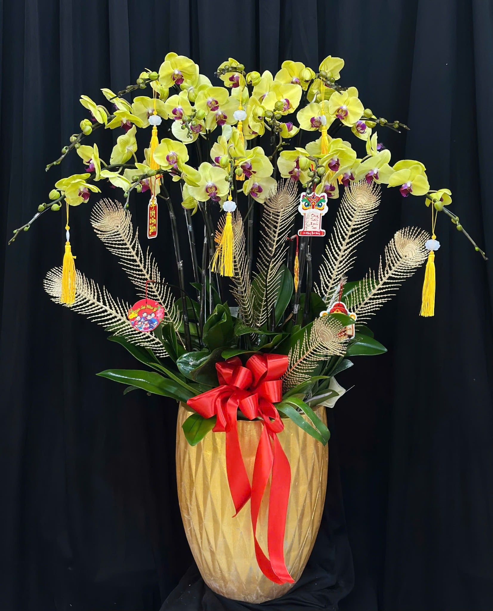  Chậu Lan Hồ Điệp Hoàng Lộc Viên Mãn - LHD87 