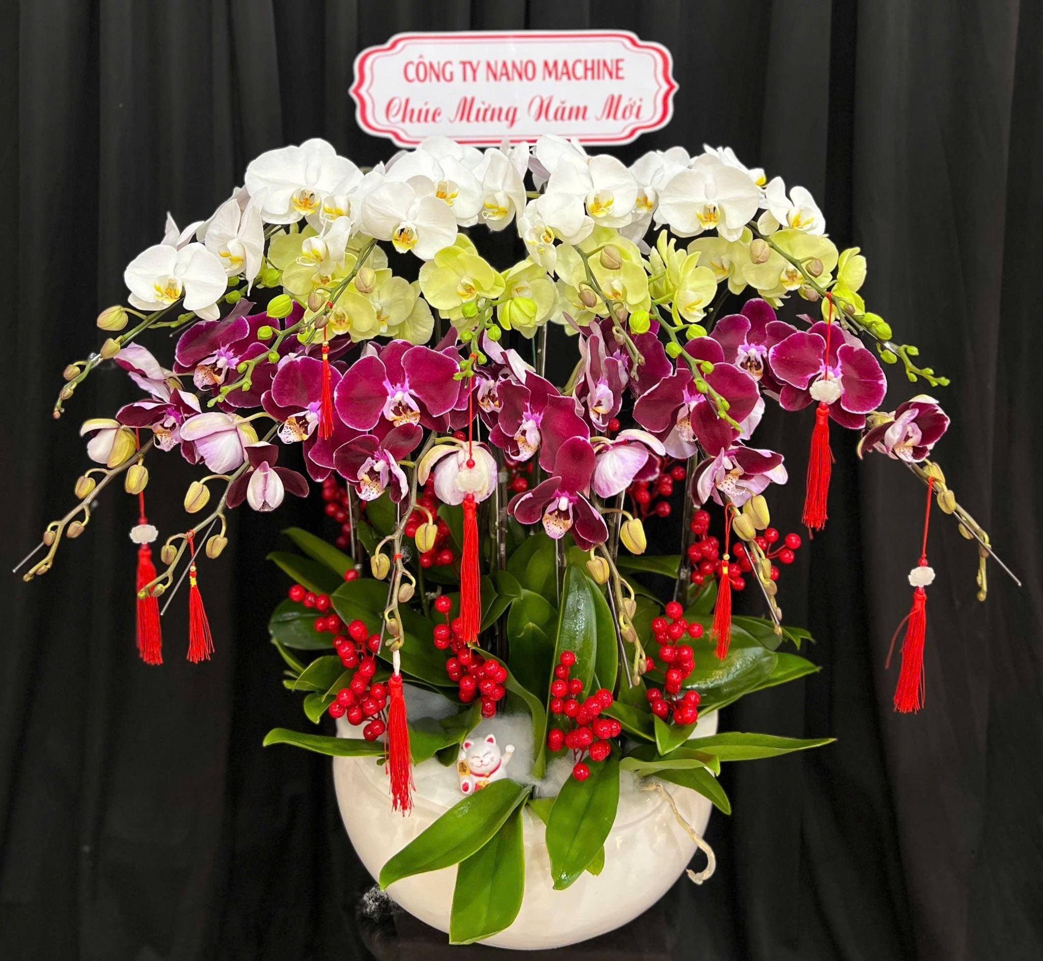  Chậu Lan Hồ Điệp Phúc Lộc Sum Vầy - LHD84 