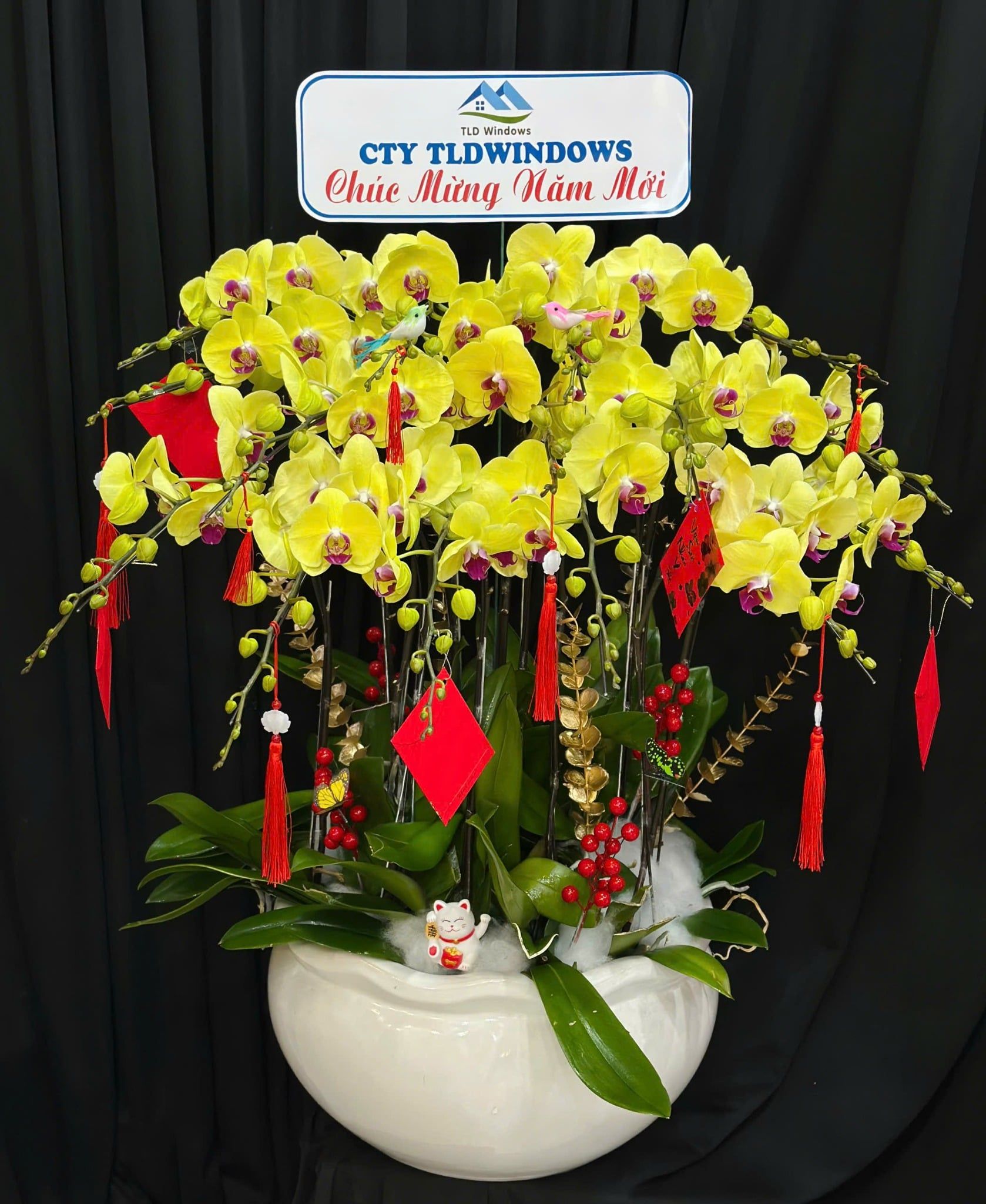  Chậu Lan Hồ Điệp Phú Quý Mãn Đường  - LHD80 