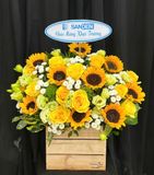  Hoa Cắm Hộp Ánh Dương Tươi Sáng - HCH98 