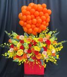  Hộp Hoa Bong Bóng Khởi Sắc Vinh Hoa - HHBB01 