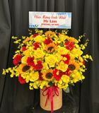  Hoa Cắm Hộp Sắc Nắng Phú Quý - HCH100 