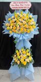  Hoa Chúc Mừng Nắng Xuân Dịu Êm - HCM49 