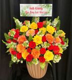  Hoa Cắm Hộp Rực Rỡ Phồn Hoa - HCH113 