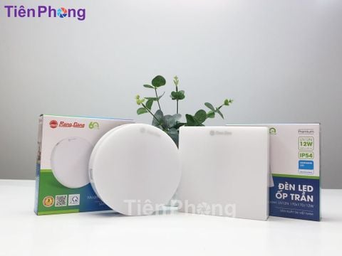 Đèn Led ốp trần LN12N Rạng Đông