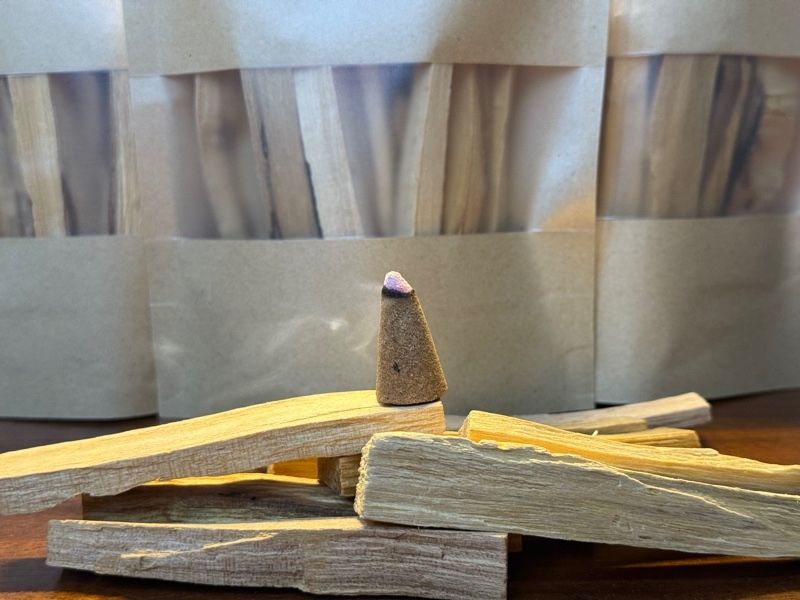  Nụ Thánh Panto Salo 