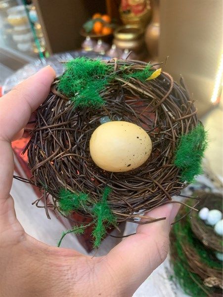  Tổ Chim Decor Size 1 