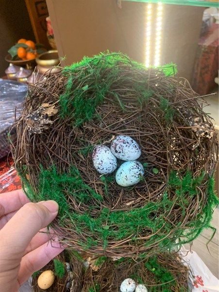  Tổ Chim Decor Size 3 