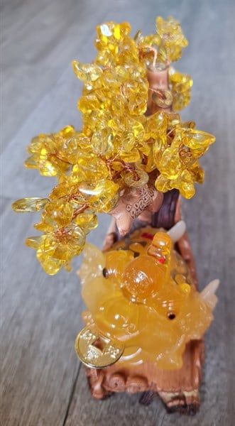  Ông cóc cây thạch anh 