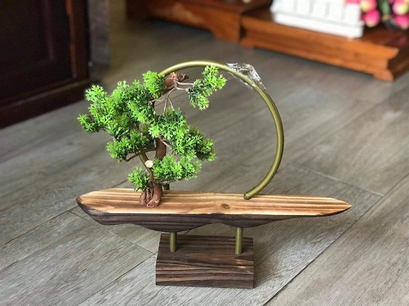  Khung decor gỗ cây bonsai 