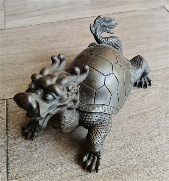  Ông quy đồng đen lớn 