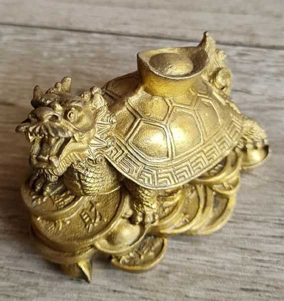  Ông quy đồng thỏi vàng 