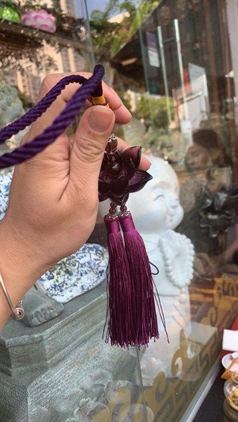  Dây Oto Bỉ Ngạn Tím Hoa Nguyên 