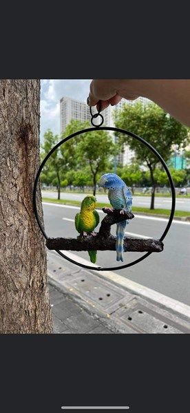  Vẹt Decor Sân Vườn 