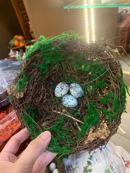  Tổ Chim Decor Size 4 