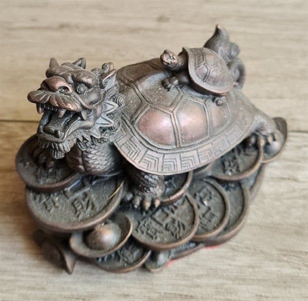  Ông quy đồng đen nhỏ 