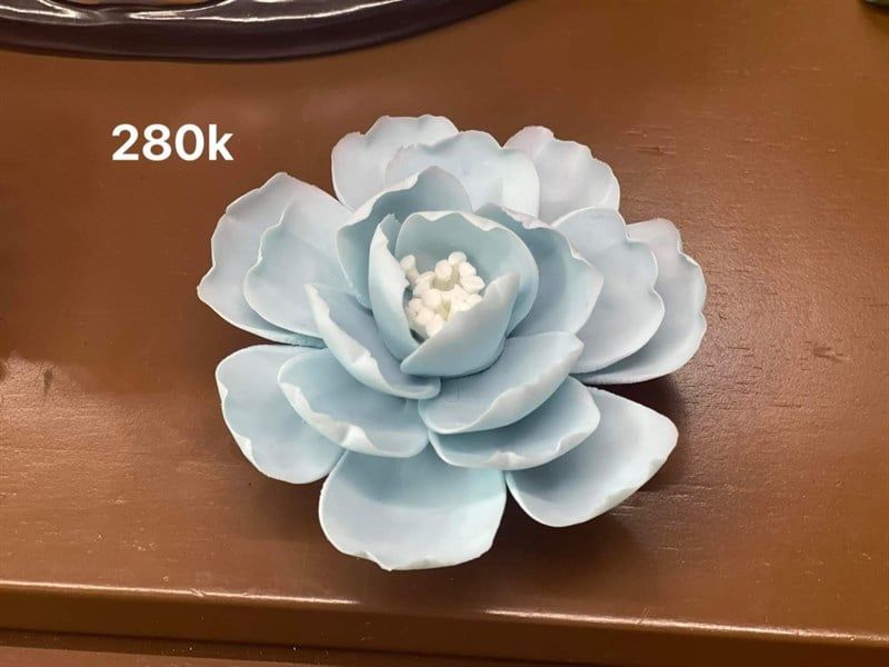  Hoa Bát Nước Phong Thuỷ 