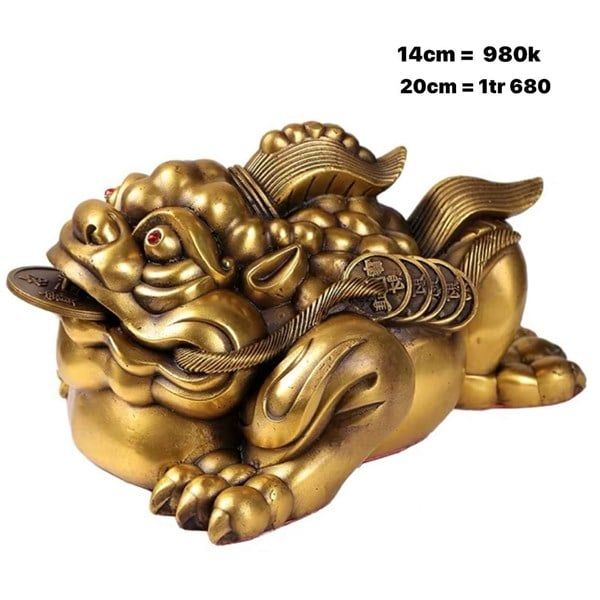  Thiềm Thừ Đồng ( Vẩy Sừng ) 20cm 