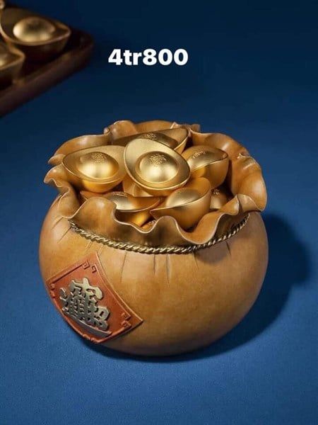  Túi Vàng Phong Thuỷ 