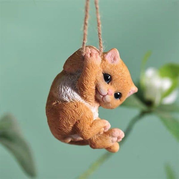  Mèo Treo Sân Vườn 