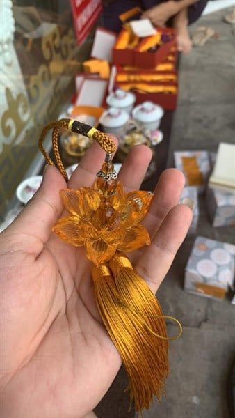  Dây Oto Bỉ Ngạn Vàng 