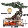 Thác Nước Cá Cảnh Bonsai