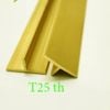 NẸP ĐỒNG T25 THẲNG