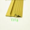 NẸP ĐỒNG T25 SỌC