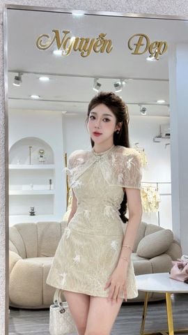 Đầm yếm ren hoạ tiết ren kim sa phối choàng (K48)