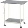 AS Việt Nam | AS New Lab Bench Type B-HW (Assembled) MW3759984