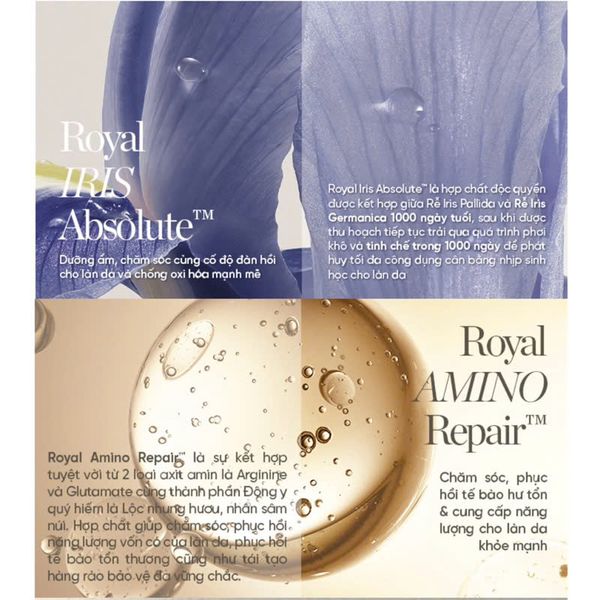 Nước Thần Phục Hồi Năng Lượng Làn Da Whoo Royal Regina Energy Drop Treatment 150ml