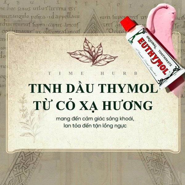 Kem Đánh Răng Chăm Sóc Hơi Thở Có Mùi Không Chứa Fluoride Hương Bạc Hà Euthymol Orginal