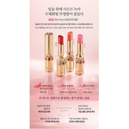 Son Dưỡng Ohui The First Geniture Lip Balm 3.2gr Tách set