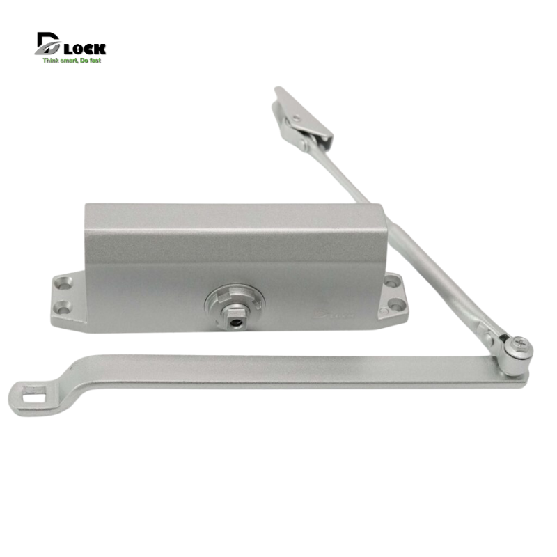 Tay co dương thủy lực DLH.5.20047.S