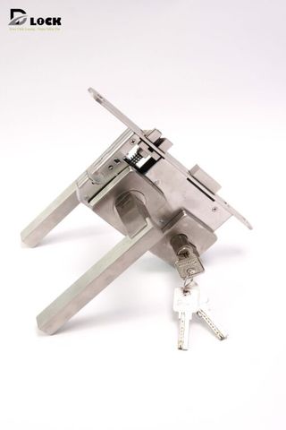 Khóa tay gạt DLH.1.2008