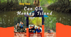  Can Gio Monkey Island & Mangrove Forest Daytour 