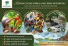  Binon Cacao Park & Hoa Binh Waterfall Day Tour from Saigon / Ho Tram / Vung Tau 