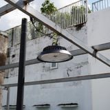  ĐÈN NĂNG LƯỢNG MẶT TRỜI THẢ TRẦN 