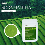  Sora Matcha ( YPC ) 