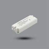  Đèn Paragon LED Downlight Panel Siêu Mỏng (Ánh Sáng Cố Định) 