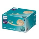  Đèn LED Philips dây 220V AC HLS168 (1 hàng 60LED) 